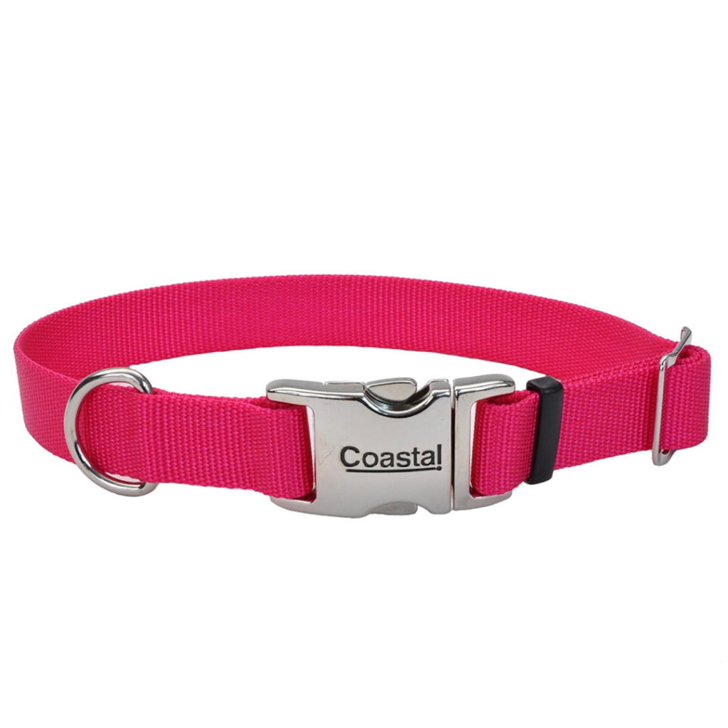 Collar Coastal Fuccia Broche Metalico L