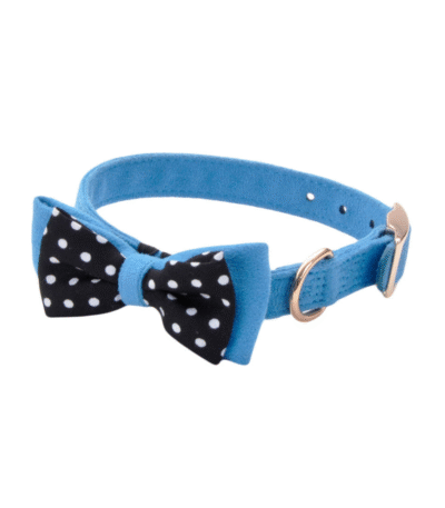 Collar Coastal Gamuza Moño Celeste M