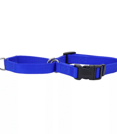 Collar Coastal Semi Ahorque XL Azul