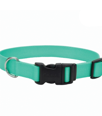 Collar Coastal Verde Agua M