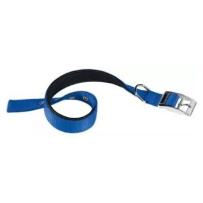 Collar Daytona C30/55 Azul