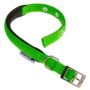 Collar Daytona C20x43 Para Perros Verde