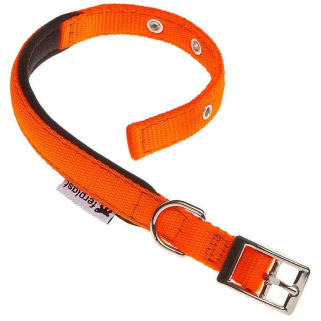 Collar Daytona C25x53 Para Perros Naranja