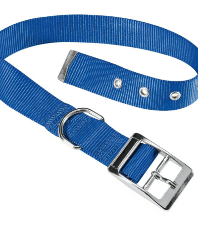 Collar Daytona Para Perros C25/45 Blue