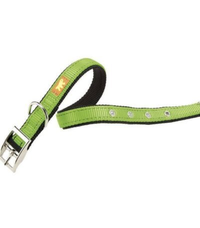 Collar Dual C25x45 Para Perros Verde