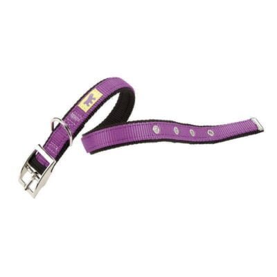 Collar Dual CF20X43 Para Perros Violeta