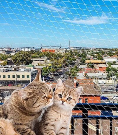 Red De Contención Para Gatos 800 x 300 Cm