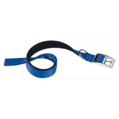 Collar Daytona C20/43 Azul