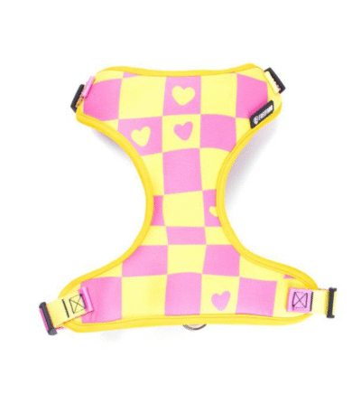 Arnés Freefaro Air Lilac G