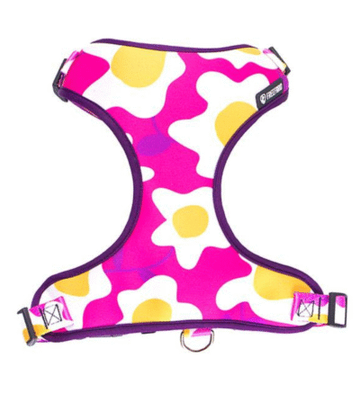 Arnés Freefaro Air Total Blue M