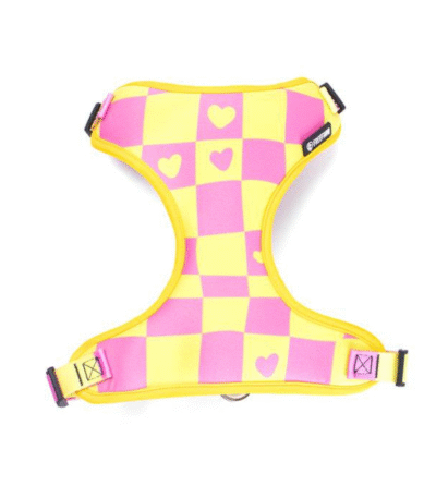 Arnés Freefaro Air Lilac M