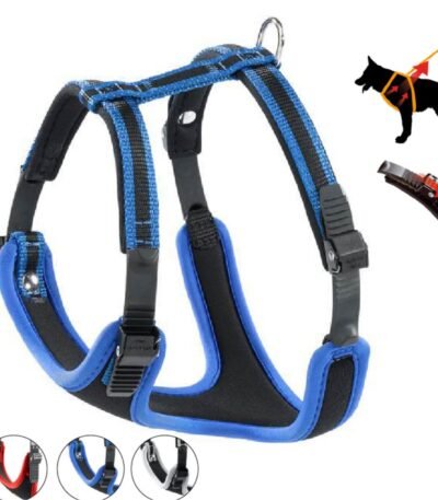 Arnés Para Perros Azul Talle P XL