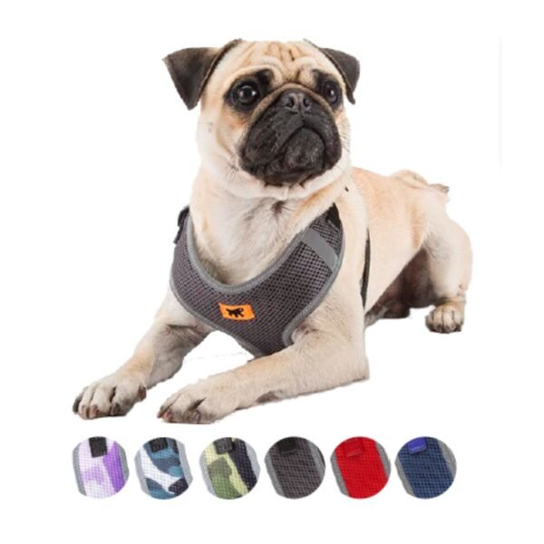 Arnés Para Perros Nikita P XXS