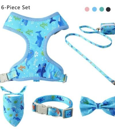 Arnés con Accesorios Celeste