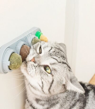 Golosina Para Gatos Bola 3 en 1