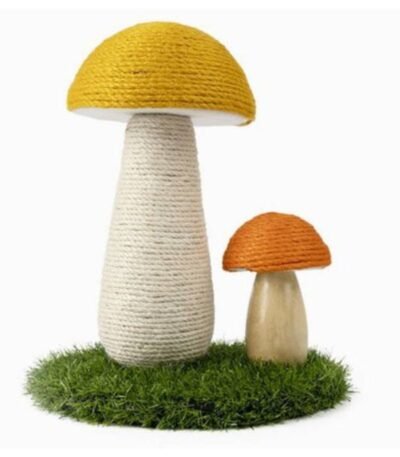 Pawise Rascador Hongo