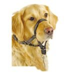 Pawise Dogal de control Talle 2