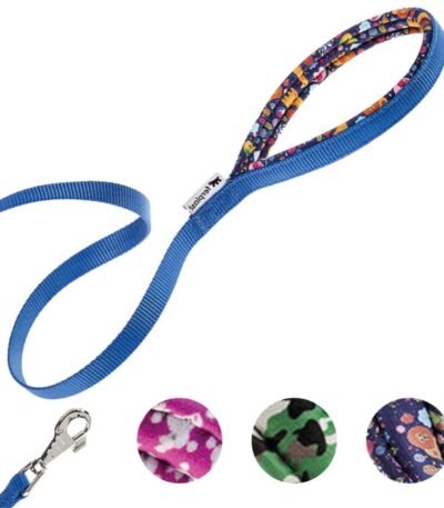 Correa Daytona G20/120 Azul