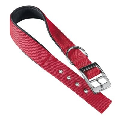 Collar Daytona C30/55 Rojo