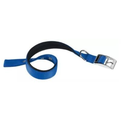 Collar Daytona C40/69 Azul