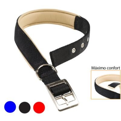 Collar Daytona C30/55 Negro