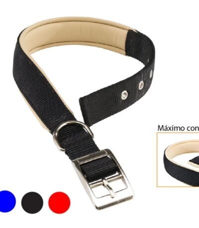 Collar Daytona C30/55 Negro