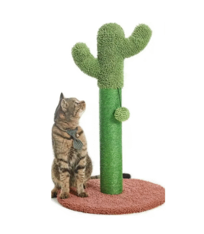 Rascador Cactus 40x67 Cm