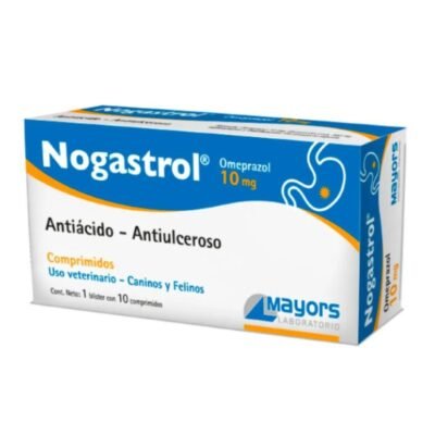 Nogastrol X 10 Comprimidos