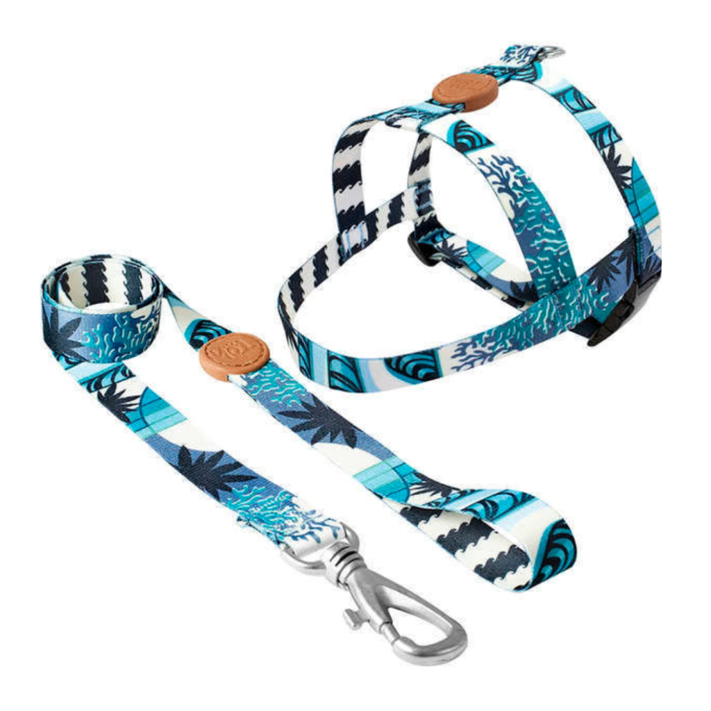 Arnes Tradicional + Correa Toh PP-XS Noronha