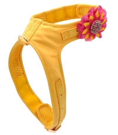 Pretal Amarillo Con Flor Coastal M