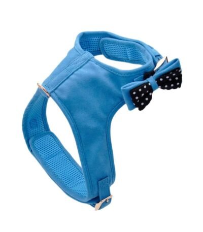 Pretal Celeste Con Moño Coastal S