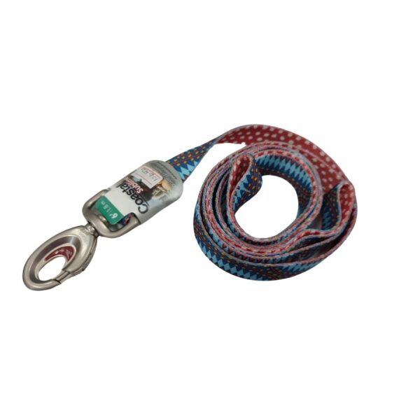 20966BDD06