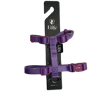 Pretal H Color Violeta Talle M