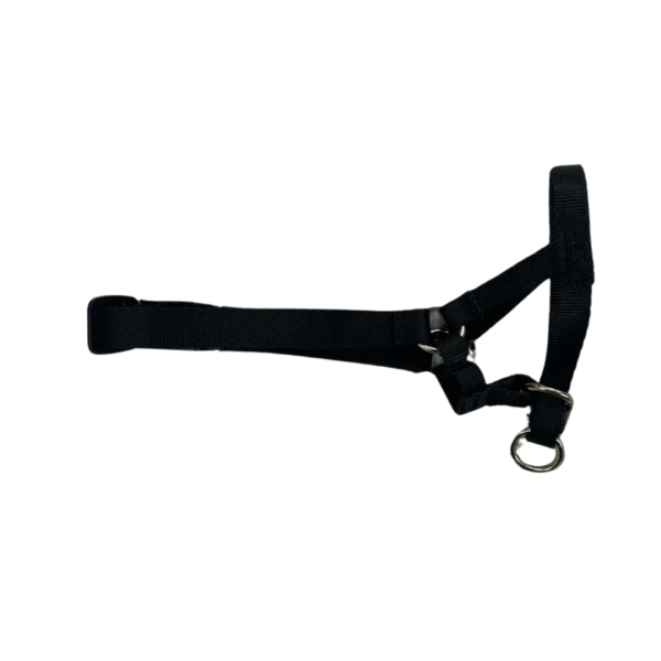 Pawise Dogal de control Talle 3