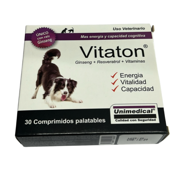 Vitaton Para El Mejoramiento De La Capacidad Cognitiva x 30 Comprimidos
