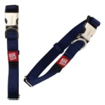 Collar Para Perros Talle XL Color Azul 48-70 cm