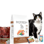 Alimento Biofresh Para Gato Senior Sabor Salmon 1,5 kg+Churu de Atun Y Vieiras+Lata Monge Atun Con Frutas 80 Grs+Arena Canada Litter 18 Kg
