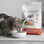 Biofresh Gato Adulto Sabor Salmon 7,5 Kg