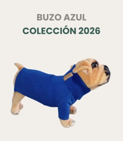 Buzo Simfor De Lana Talle 8 Azul