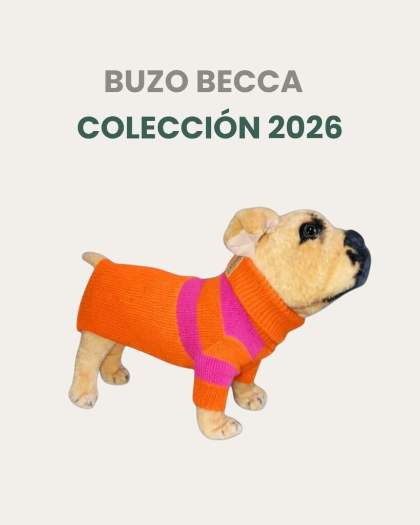 Buzo Simfor De Lana Talle 8 Becca