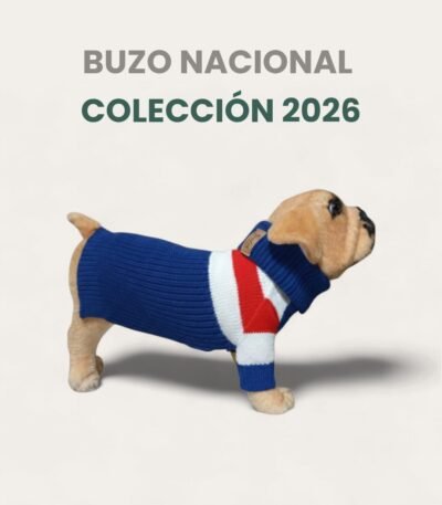 Buzo Simfor De Lana Talle 8 Nacional