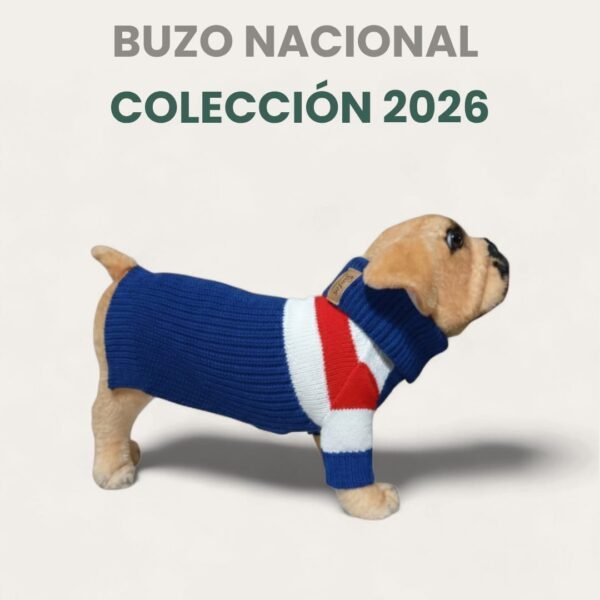 Buzo Simfor De Lana Talle 8 Nacional