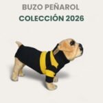 Buzo Simfor de Lana Talle 8 Modelo Peñarol