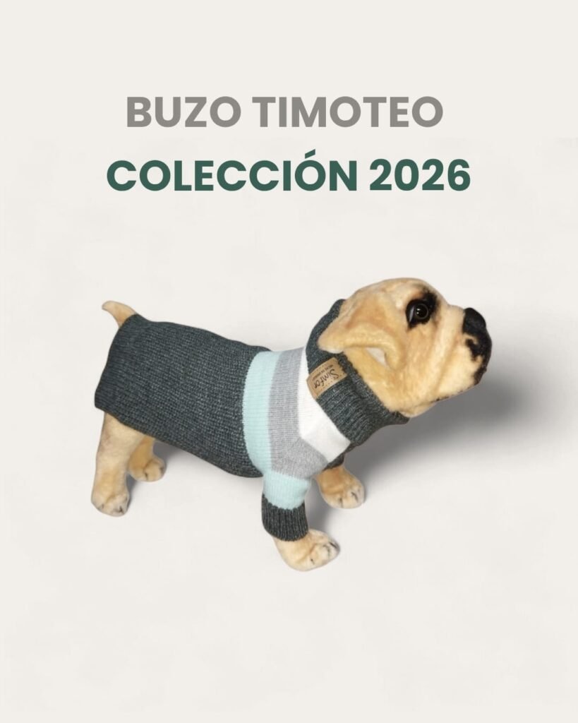 Buzo Simfor De Lana Talle 8 Timoteo