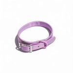 Collar De Silicona Talle Xs. Cuello Hasta 38 cm. Color Lila