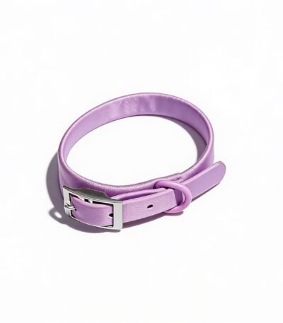 Collar De Silicona Talle S. Cuello Hasta 45 Cm. Color Lila