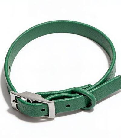 Collar De Silicona Talle M. Cuello Hasta 54 Cm. Color Verde