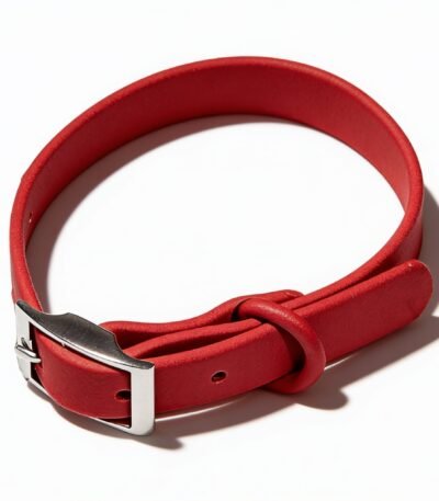 Collar De Silicona Talle L. Cuello Hasta 67 Cm. Color Rojo