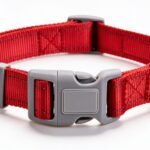 Collar Para Perro Talle M. Color Rojo. Cuello 32-48 Cm