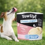 Helado Para Perros Y Gatos Sabor Panceta